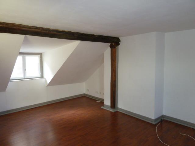 CENTRE SAINT AIGNAN - MAISON T2 + courette